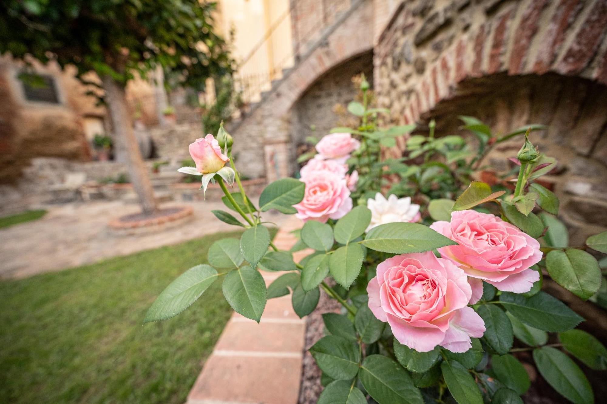 Appartamento Casa La Girandola Castiglion Fiorentino Esterno foto